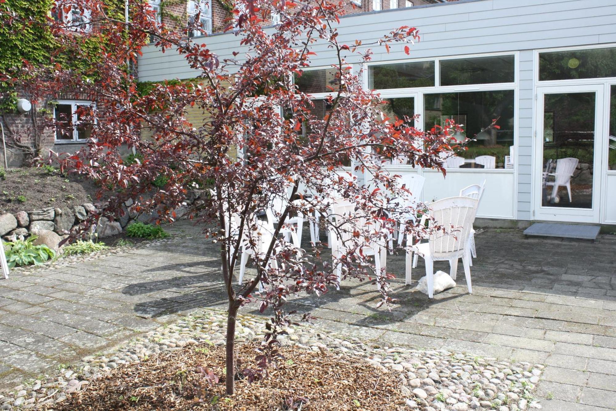 Emmaus Hostel Haslev Exterior foto